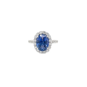 Oval Sapphire & Diamond Halo Style Ring in White Gold